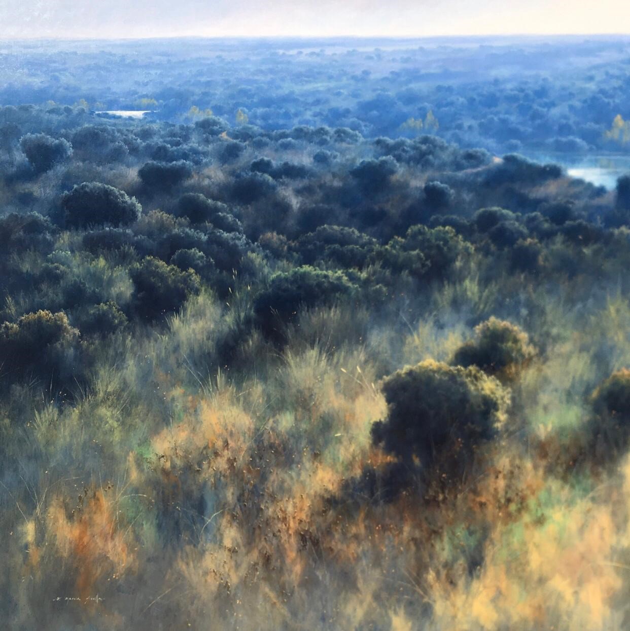 Por el Pantano de Azután - Óleo sobre madera entelada -101x101